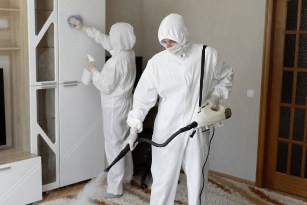 Home Mold Removal in Plantsville, CT