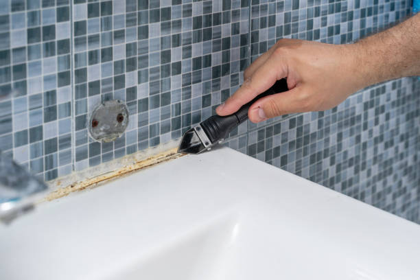 Best Mold Testing and Removal  in Plantsville, CT